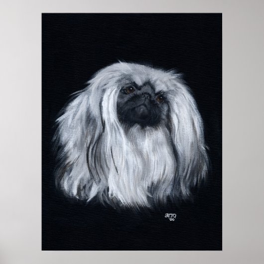 Pekingees Portret in Zwart & Wit Poster (Voorkant)