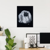 Pekingees Portret in Zwart & Wit Poster (Thuiskantoor)