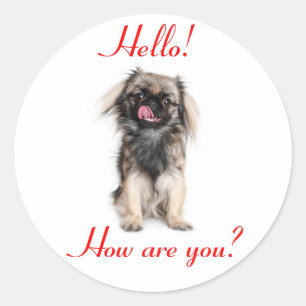 Pekingees Puppy Hond Rood Hallo Ronde Sticker