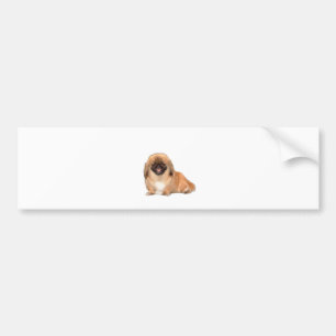 Pekingees (rood, zwart masker #1) bumpersticker