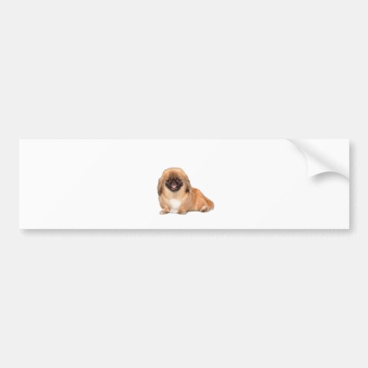 Pekingees (rood, zwart masker #1) bumpersticker (Voorkant)