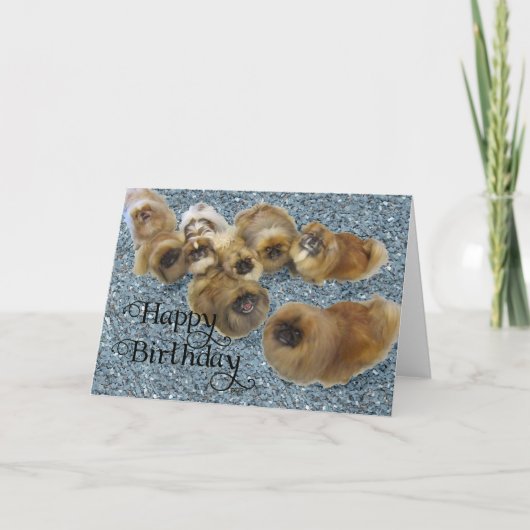 Pekingees Verjaardagskaart Kaart (Voorkant)