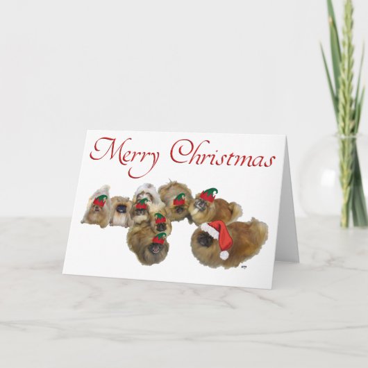Pekingees viert Kerstmis Feestdagen Kaart (Voorkant)