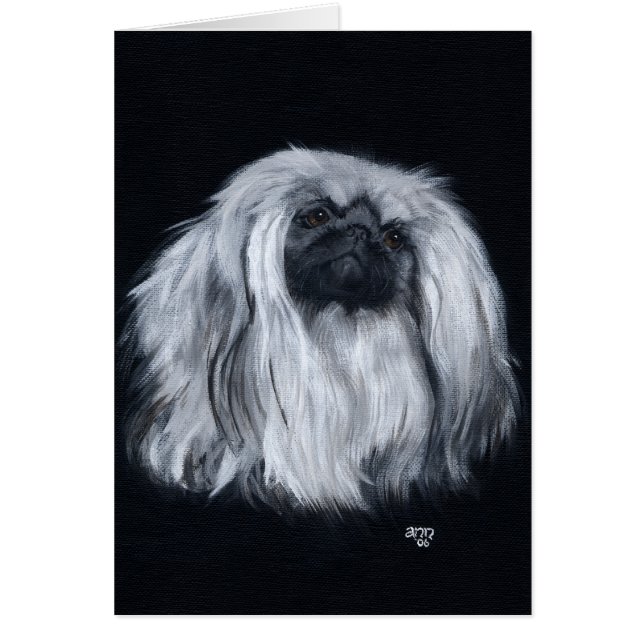 Pekingees Zwart & Wit (Voorkant)
