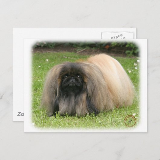 Pekingese 9Y218D-016 Briefkaart (Voorkant / Achterkant)