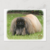Pekingese 9Y218D-016 Briefkaart (Voorkant)