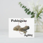 Pekingese Agility Briefkaart (Staand voorkant)