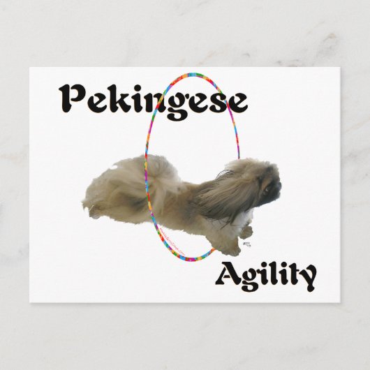 Pekingese Agility Briefkaart (Voorkant)