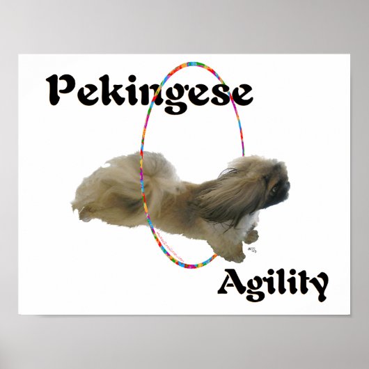 Pekingese Agility Poster (Voorkant)