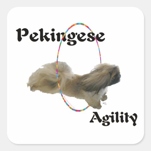 Pekingese Agility Vierkante Sticker (Voorkant)