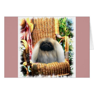 Pekingese Art Gifts