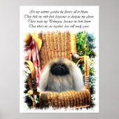 Pekingese Art Print (Voorkant)