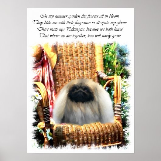 Pekingese Art Print (Voorkant)