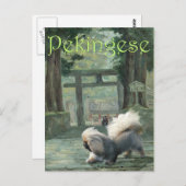Pekingese bij Oriental Gateway Briefkaart (Voorkant / Achterkant)