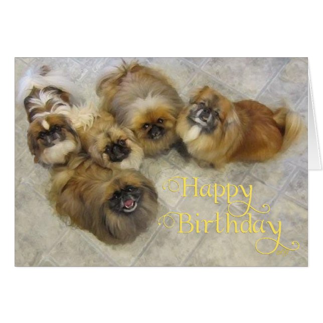 Pekingese Birthday Wenskaart (Voorkant Horizontaal)