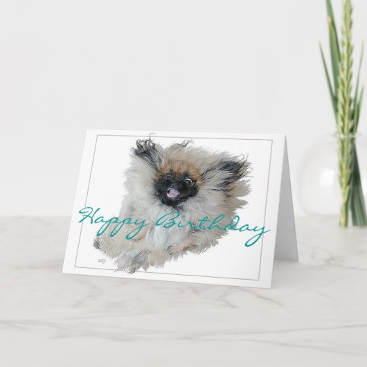 Pekingese Birthday Wenskaart Kaart (Voorkant)