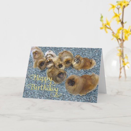 Pekingese Birthday Wenskaart Kaart (Gele Bloem)