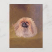  Pekingese Briefkaart (Voorkant)