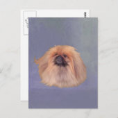  Pekingese Briefkaart (Voorkant / Achterkant)