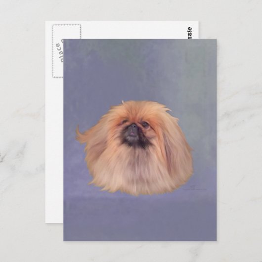  Pekingese Briefkaart (Voorkant / Achterkant)