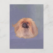 Pekingese Briefkaart (Voorkant)