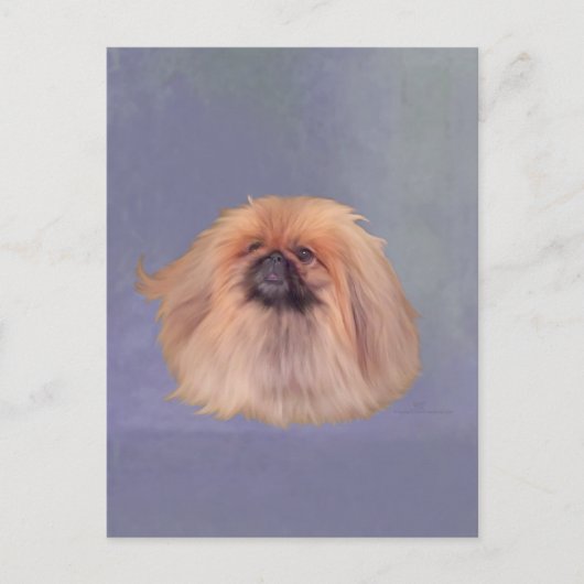  Pekingese Briefkaart (Voorkant)
