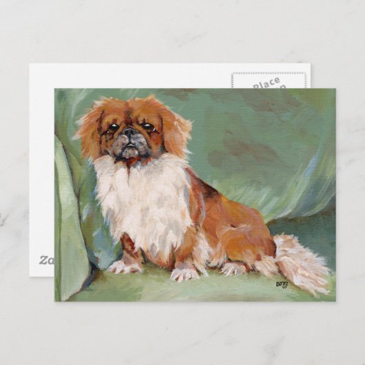 Pekingese Briefkaart (Voorkant / Achterkant)
