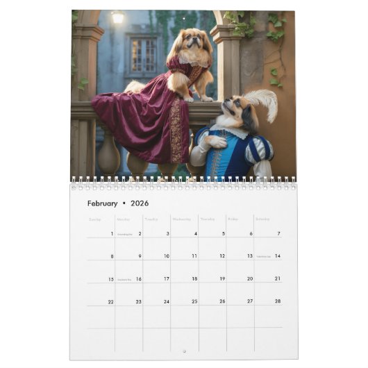 Pekingese Calendar Kalender (Feb 2026)