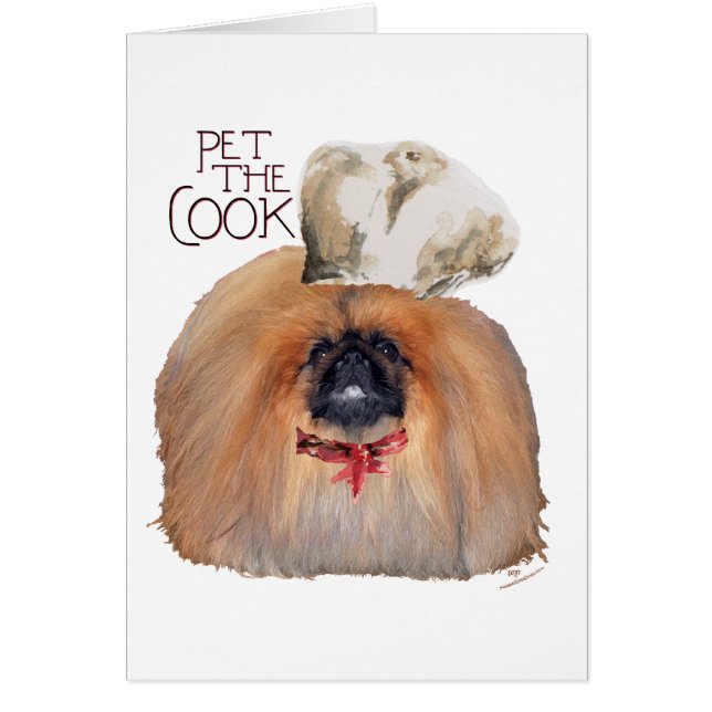 Pekingese Chef - Mannelijk (Voorkant)