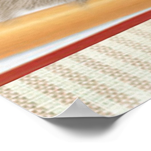 Pekingese die in het Poster van de Koekjespot is g (Hoek)