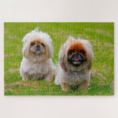 Pekingese Dog. Legpuzzel (Horizontaal)