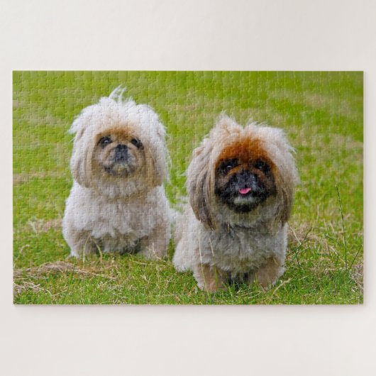 Pekingese Dog. Legpuzzel (Horizontaal)