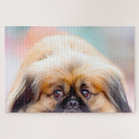 Pekingese Dog. Legpuzzel (Horizontaal)