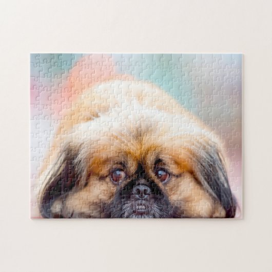 Pekingese Dog. Legpuzzel (Horizontaal)