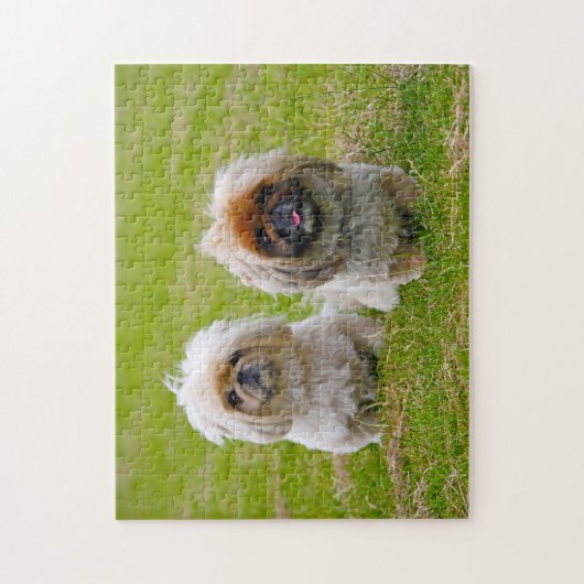 Pekingese Dog. Legpuzzel (Verticaal)