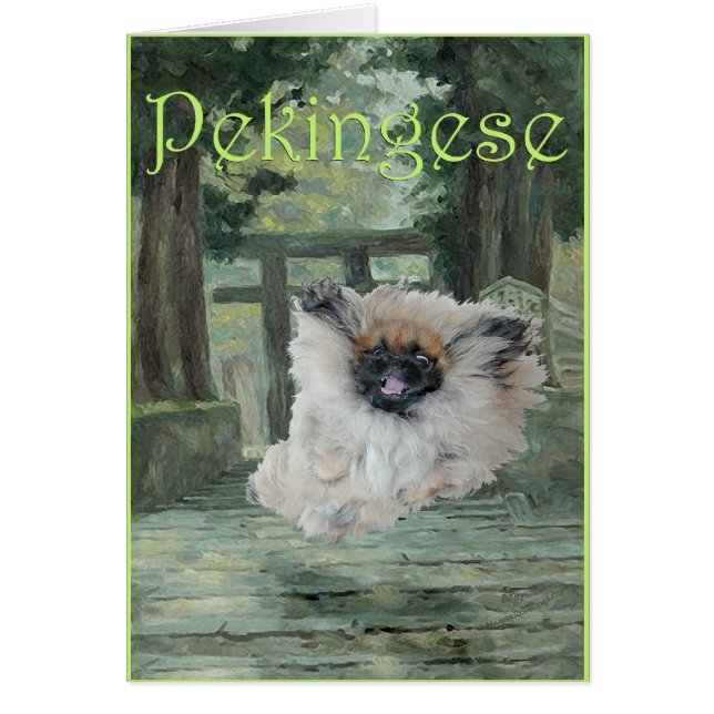 Pekingese Dog Oriental Gate (Voorkant)