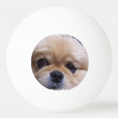 Pekingese Dog Pingpongbal (Voorkant)