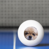 Pekingese Dog Pingpongbal (Net)