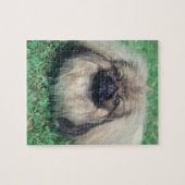Pekingese Dog Puzzle Legpuzzel (Horizontaal)