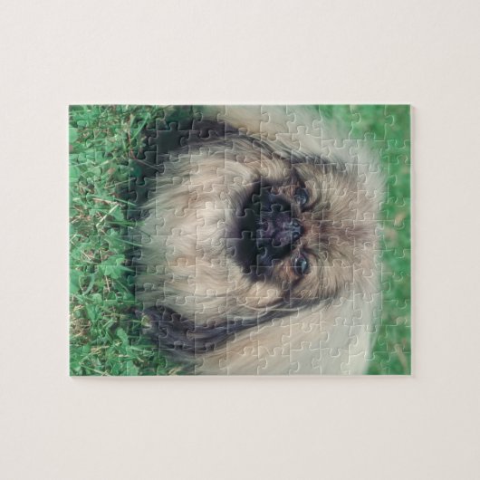 Pekingese Dog Puzzle Legpuzzel (Horizontaal)