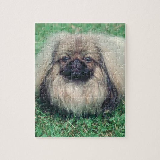 Pekingese Dog Puzzle Legpuzzel (Verticaal)