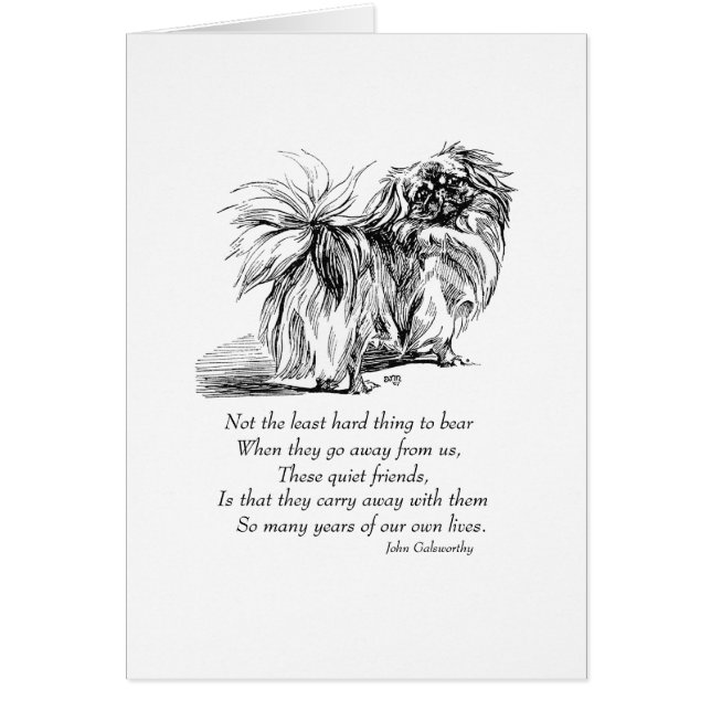 Pekingese Dog Rainbow Bridge (Voorkant)