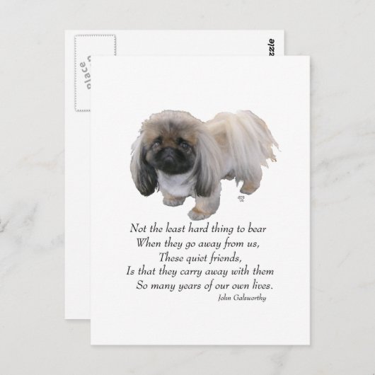 Pekingese Dog Rainbow Bridge Briefkaart (Voorkant / Achterkant)