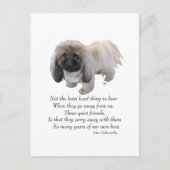 Pekingese Dog Rainbow Bridge Briefkaart (Voorkant)