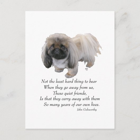 Pekingese Dog Rainbow Bridge Briefkaart (Voorkant)