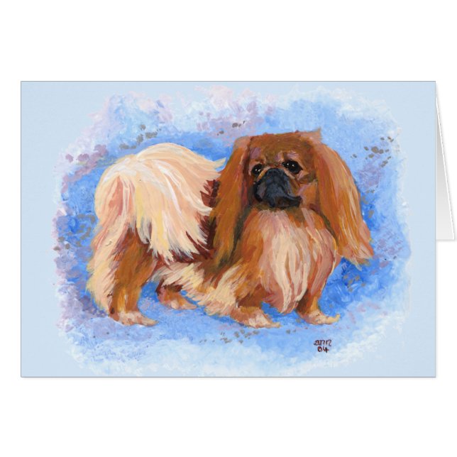 Pekingese Echte Blauwe (Voorkant Horizontaal)