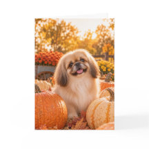 Pekingese Fall Greeting Card
