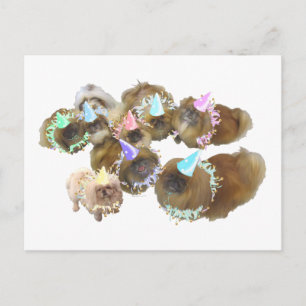 Pekingese Feestgroep Uitnodiging Briefkaart