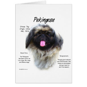 Pekingese Geschiedenis Ontwerp