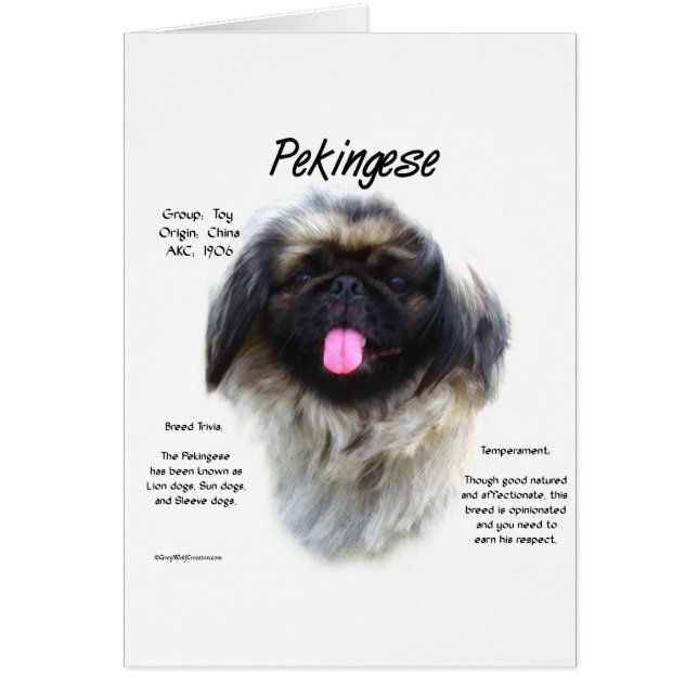 Pekingese Geschiedenis Ontwerp (Voorkant)